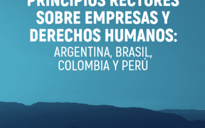 [Relatório] Análisis de la aplicabilidad y eficacia de los Principios Rectores sobre las empresas y los derechos humanos: Argentina, Brasil, Colombia y Perú
