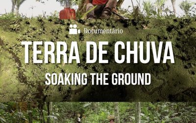 “Terra de Chuva”: o documentário que mostra a força da agroecologia na vida das comunidades