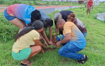 Plantio coletivo marca memória de Edvard Dantas e reforça luta por justiça ambiental em Piquiá da Conquista