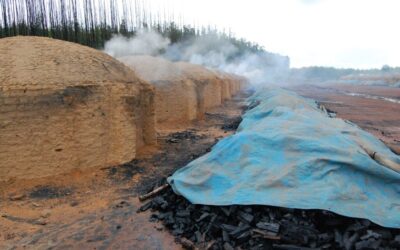 Vale conivente com degradação ambiental e trabalho escravo na cadeia produtiva do aço | Justiça nos Trilhos